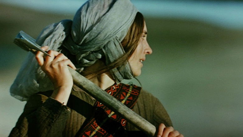 кадр из фильма Вечер накануне Ивана Купала