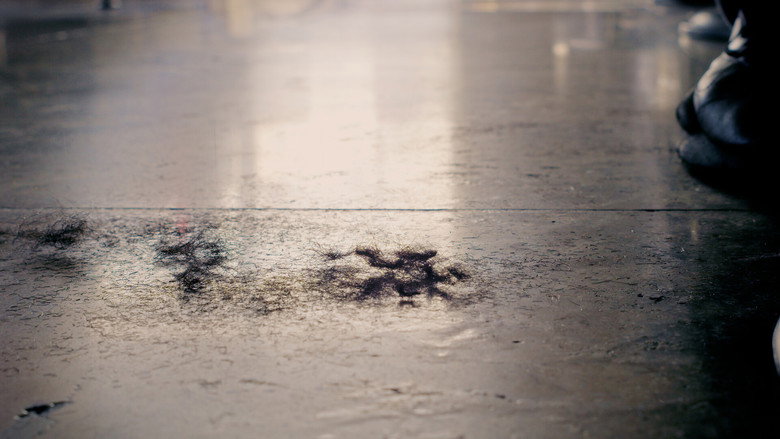 кадр из фильма The Baltimore Barber