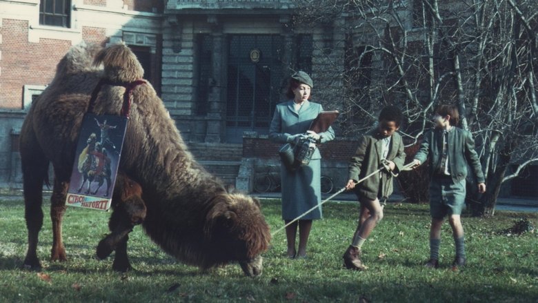 кадр из фильма Luna e l'altra