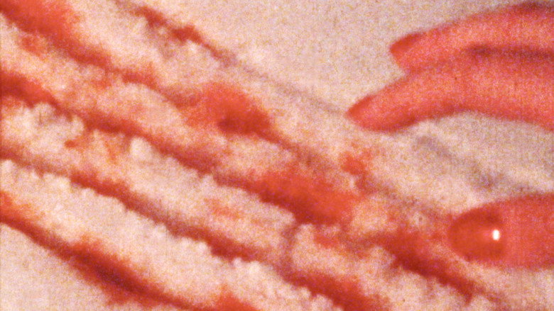 кадр из фильма Joker