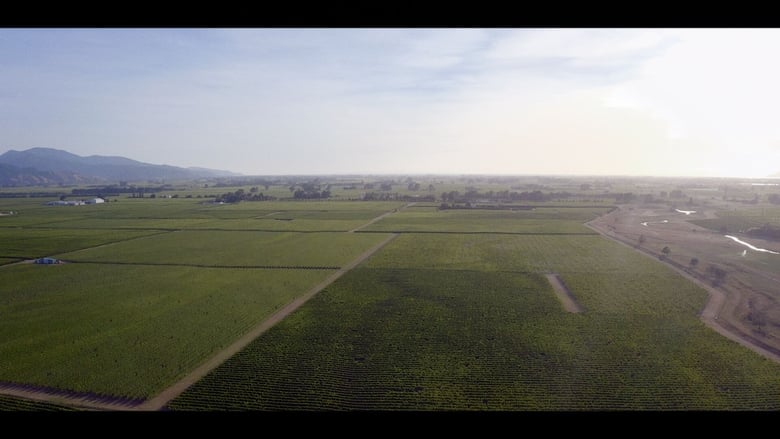 кадр из фильма A Seat at the Table