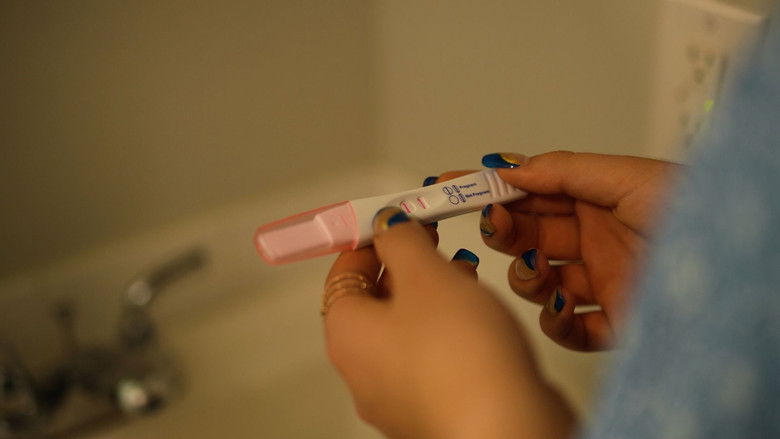 кадр из фильма Pomegranate