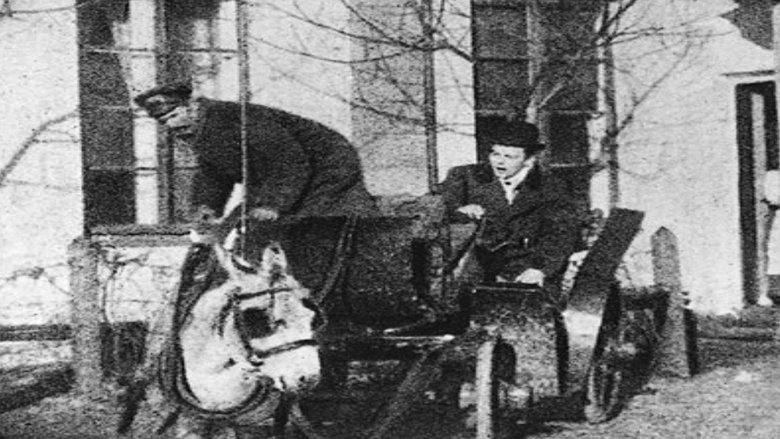 кадр из фильма Powrót birbanta