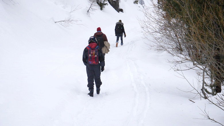 кадр из фильма The Milky Way