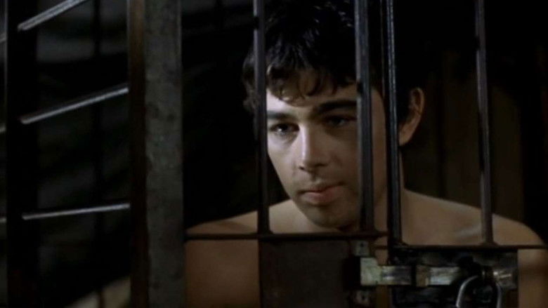 кадр из фильма Медвежий поцелуй