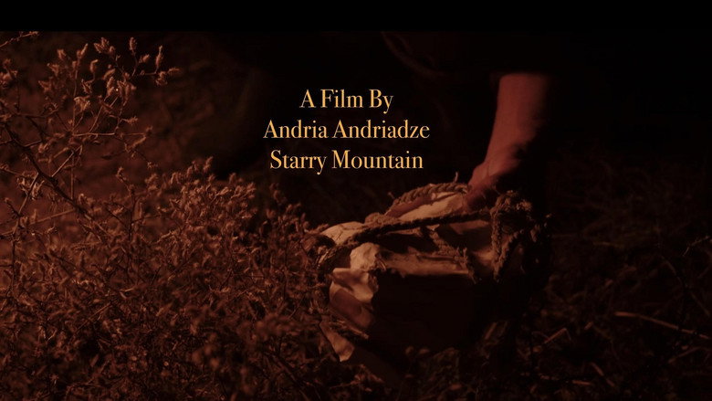 кадр из фильма ვარსკვლავებიანი მთა