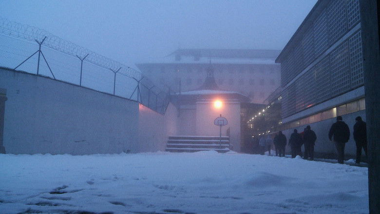 кадр из фильма Thorberg