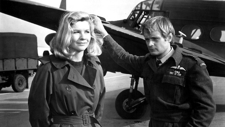 кадр из фильма Эскадрилья «Москито»