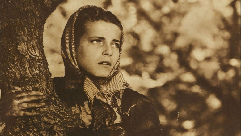 кадр из фильма Cielo sulla palude