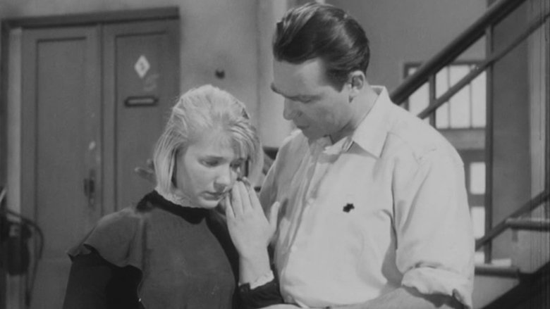 кадр из фильма Дикая собака Динго