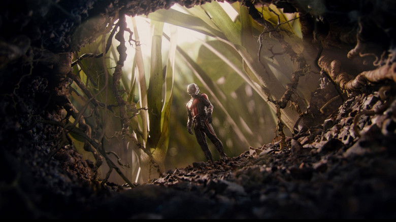 кадр из фильма Человек-муравей