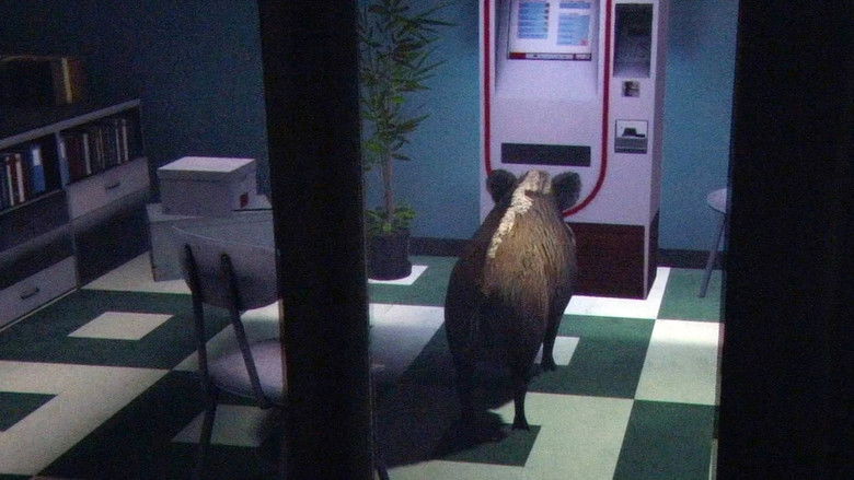 кадр из фильма Steckbrief Natur - Folge 2 und 3