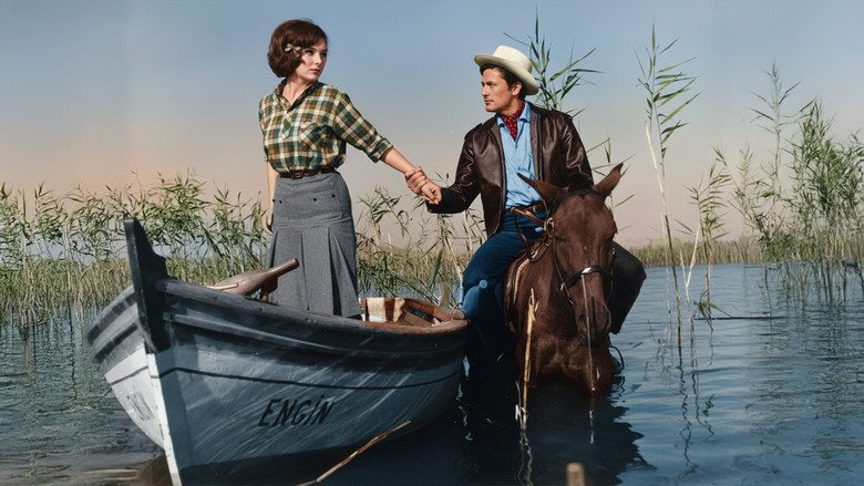 кадр из фильма İnatçı Gelin