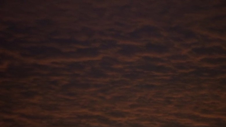 кадр из фильма 性狩人