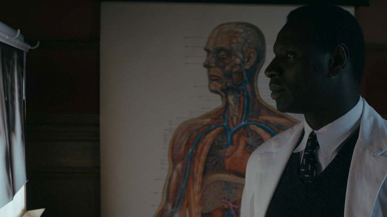 кадр из фильма Афера доктора Нока