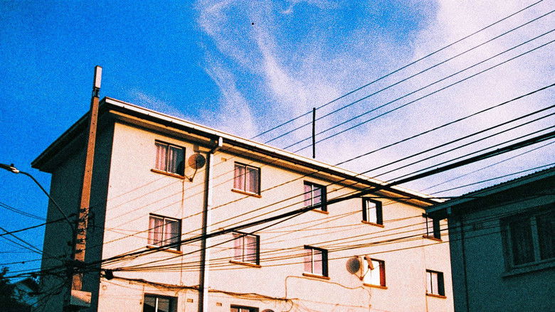 кадр из фильма Dia y Fin