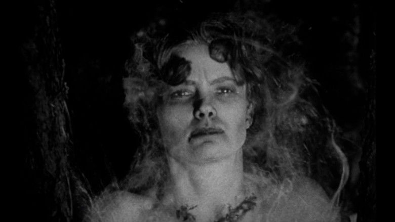 кадр из фильма Beast from Haunted Cave