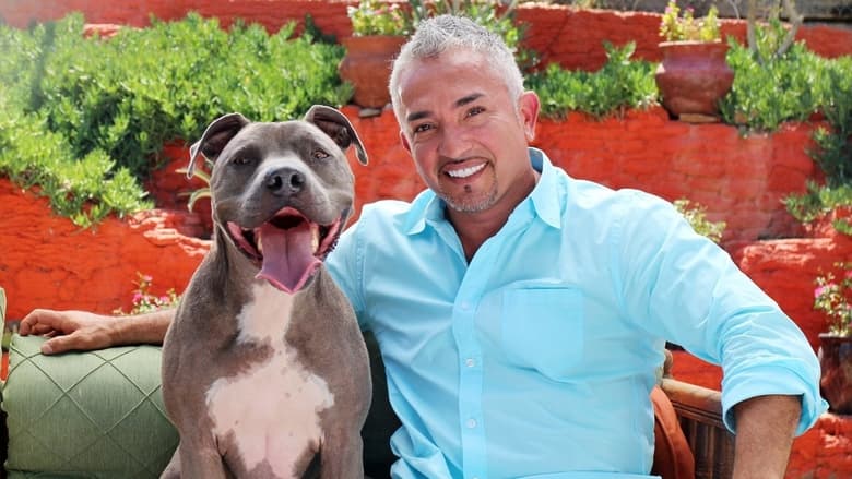 кадр из фильма Cesar Millan: Love My Pit Bull