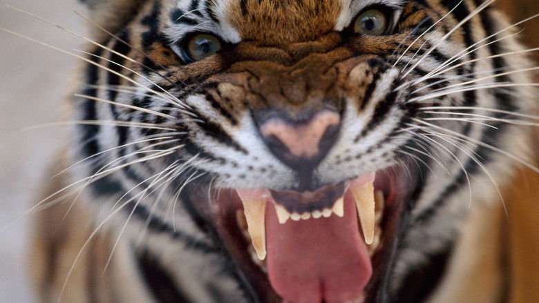 кадр из фильма 20 Animals That Will Kill You