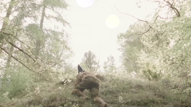 кадр из фильма Rover of Meadow's Advent