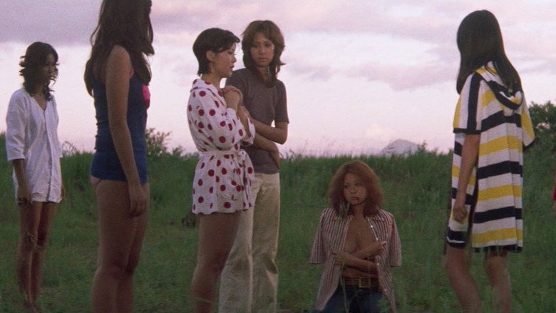 кадр из фильма 女番長ブルース 牝蜂の逆襲