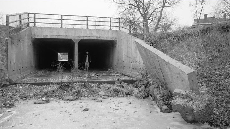 кадр из фильма Paused