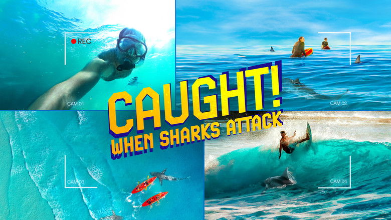 кадр из фильма Caught! When Sharks Attack