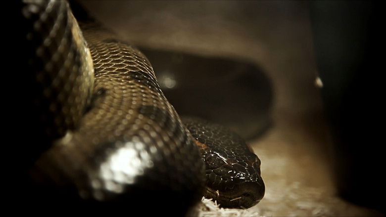 кадр из фильма Lektion der Unvernunft