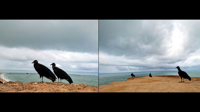 кадр из фильма Cartas de Arapuca