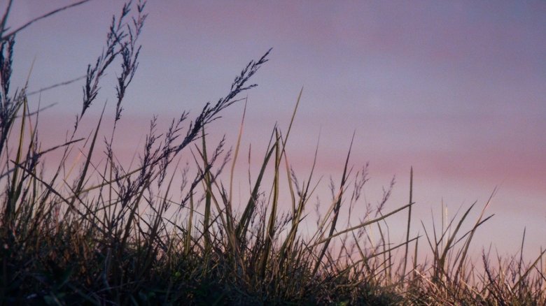 кадр из фильма Quand les chamois se taisent