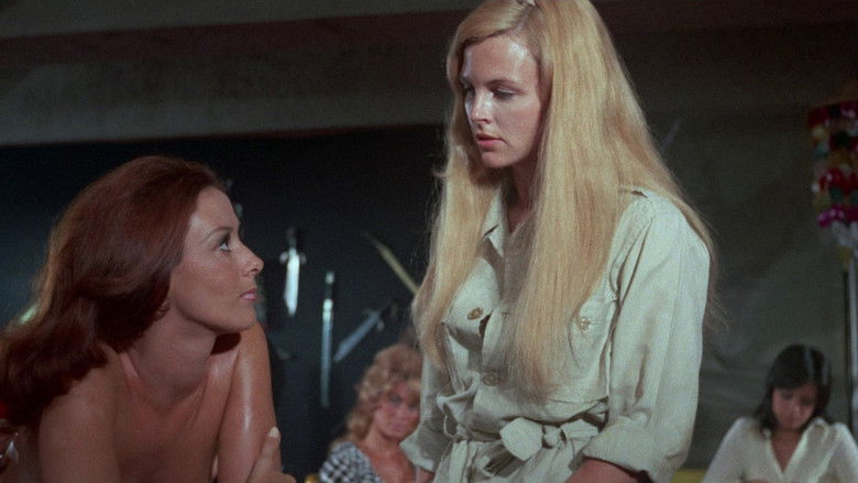 кадр из фильма Чудо-женщины