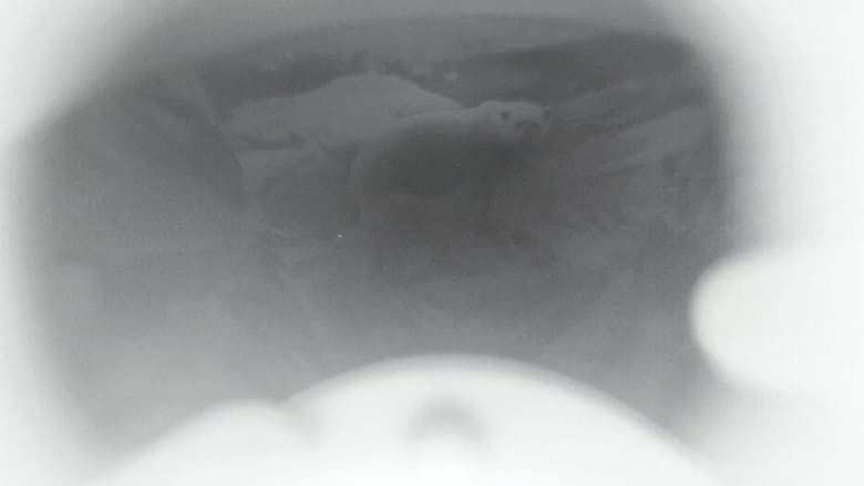 кадр из фильма Sem Título 2