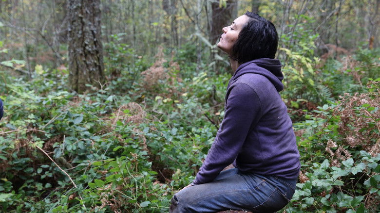 кадр из фильма Пропавшая