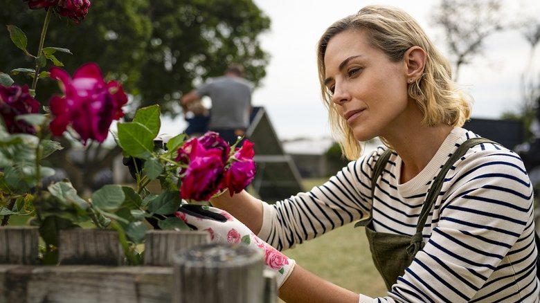 кадр из фильма Клык 2: Город волков