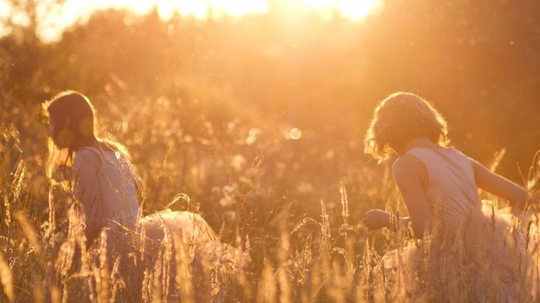 кадр из фильма Sangailės vasara