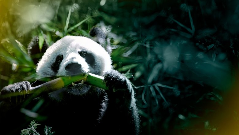 кадр из фильма The Hidden Kingdoms of China