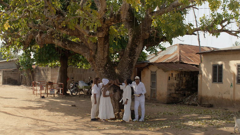 кадр из фильма Clotilda: The Return Home