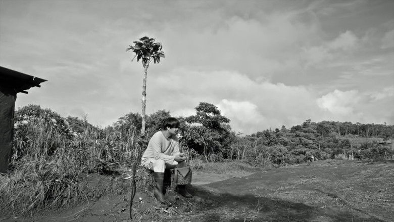 кадр из фильма Phantosmia