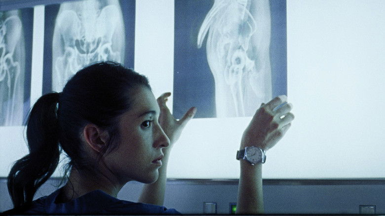 кадр из фильма Piaffe