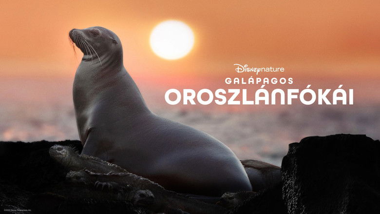 кадр из фильма Sea Lions of the Galapagos