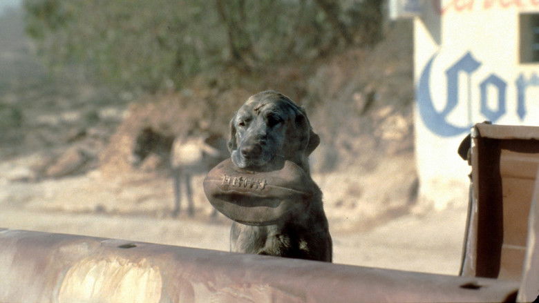 кадр из фильма Мексиканец