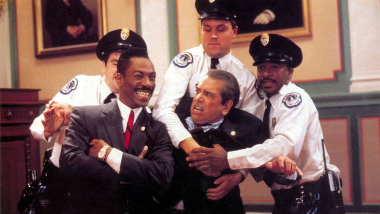 кадр из фильма Достопочтенный джентльмен