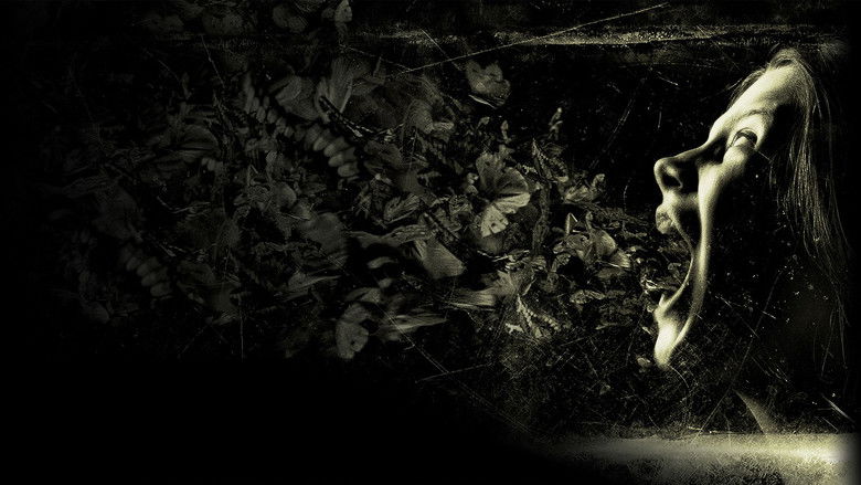 кадр из фильма Шкатулка проклятия