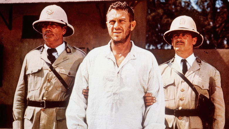 кадр из фильма Мотылёк