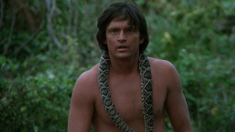 кадр из фильма Stanley