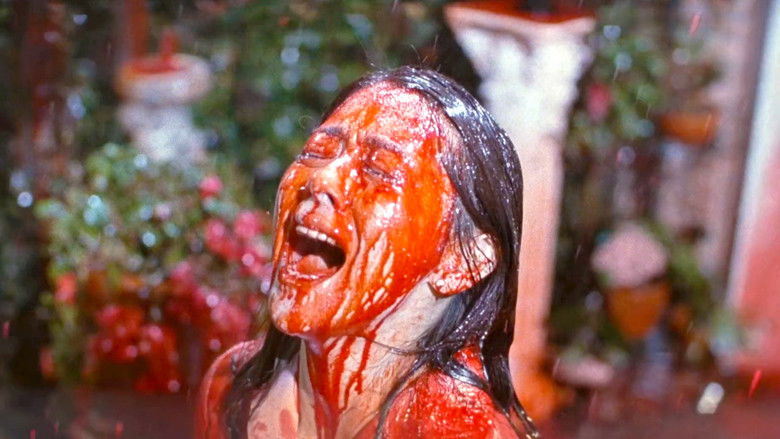 кадр из фильма Висячий сад