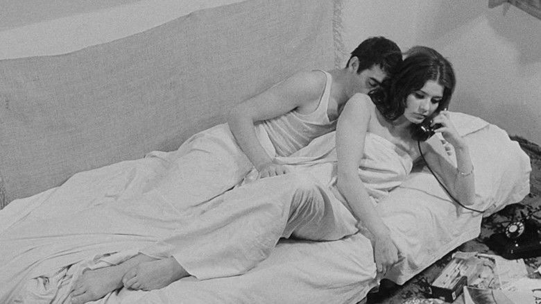 кадр из фильма Piscicultura