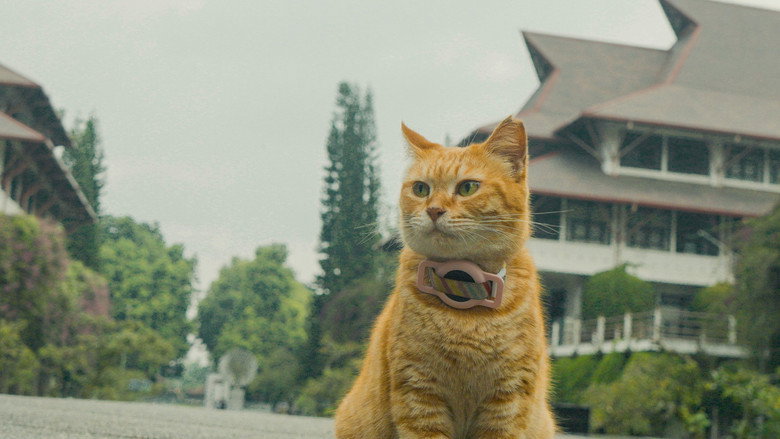 кадр из фильма Meong!