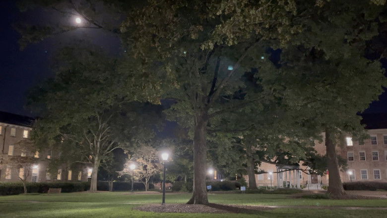 кадр из фильма Davy Wallace