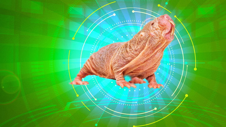 кадр из фильма Naked Molerat: Nature’s Weirdest Superhero